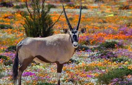 New Destinations for Second Time Visitors