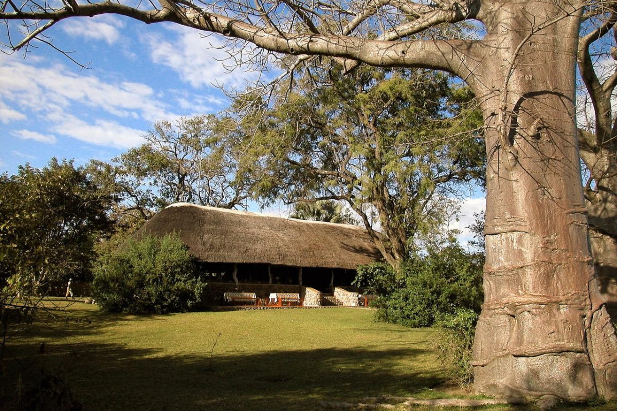 Cedarberg Travel | Mvuu Camp