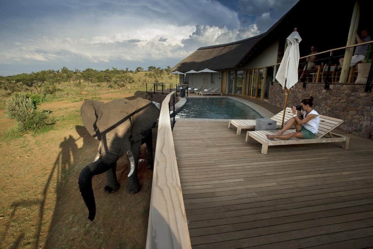Cedarberg Travel | Mhondoro Safari Lodge & Villa