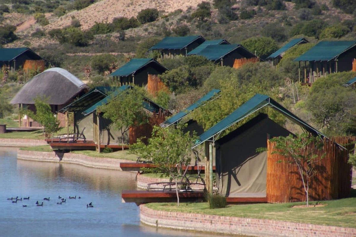 Cedarberg Travel | Buffelsdrift Game Lodge