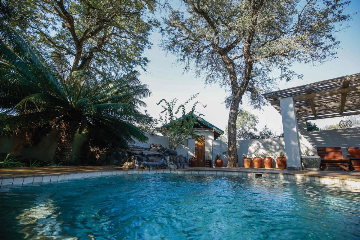 Cedarberg Travel | Silvan Safari