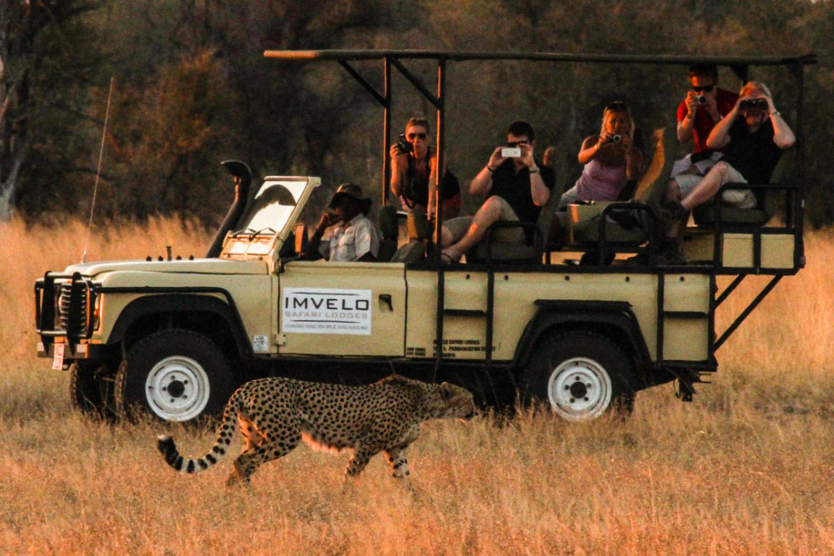 Cedarberg Travel | Camelthorn Lodge