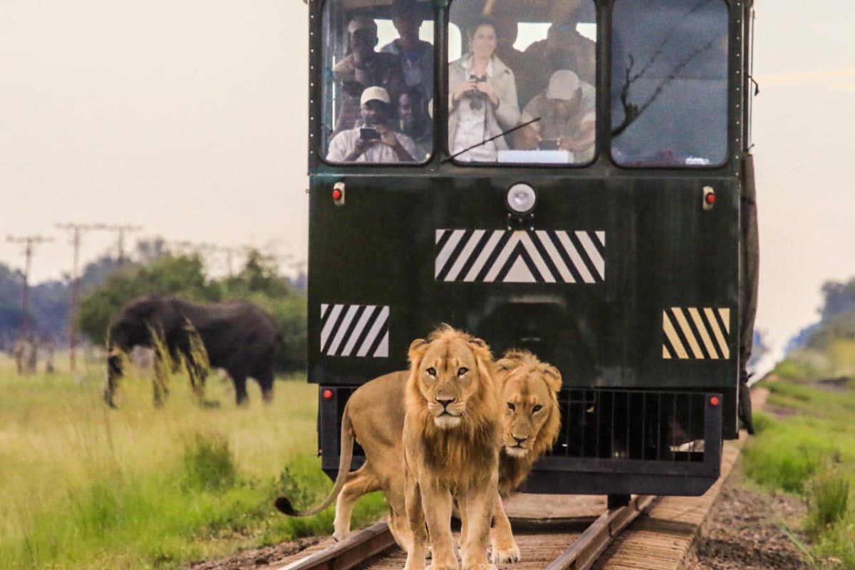 Cedarberg Travel | Camelthorn Lodge