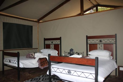 Little Miombo Tent