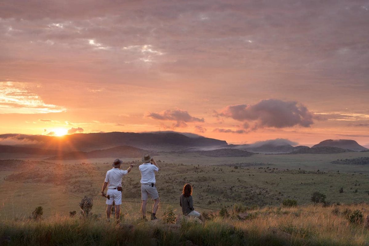 Cedarberg Travel | Welgevonden Safari Getaway