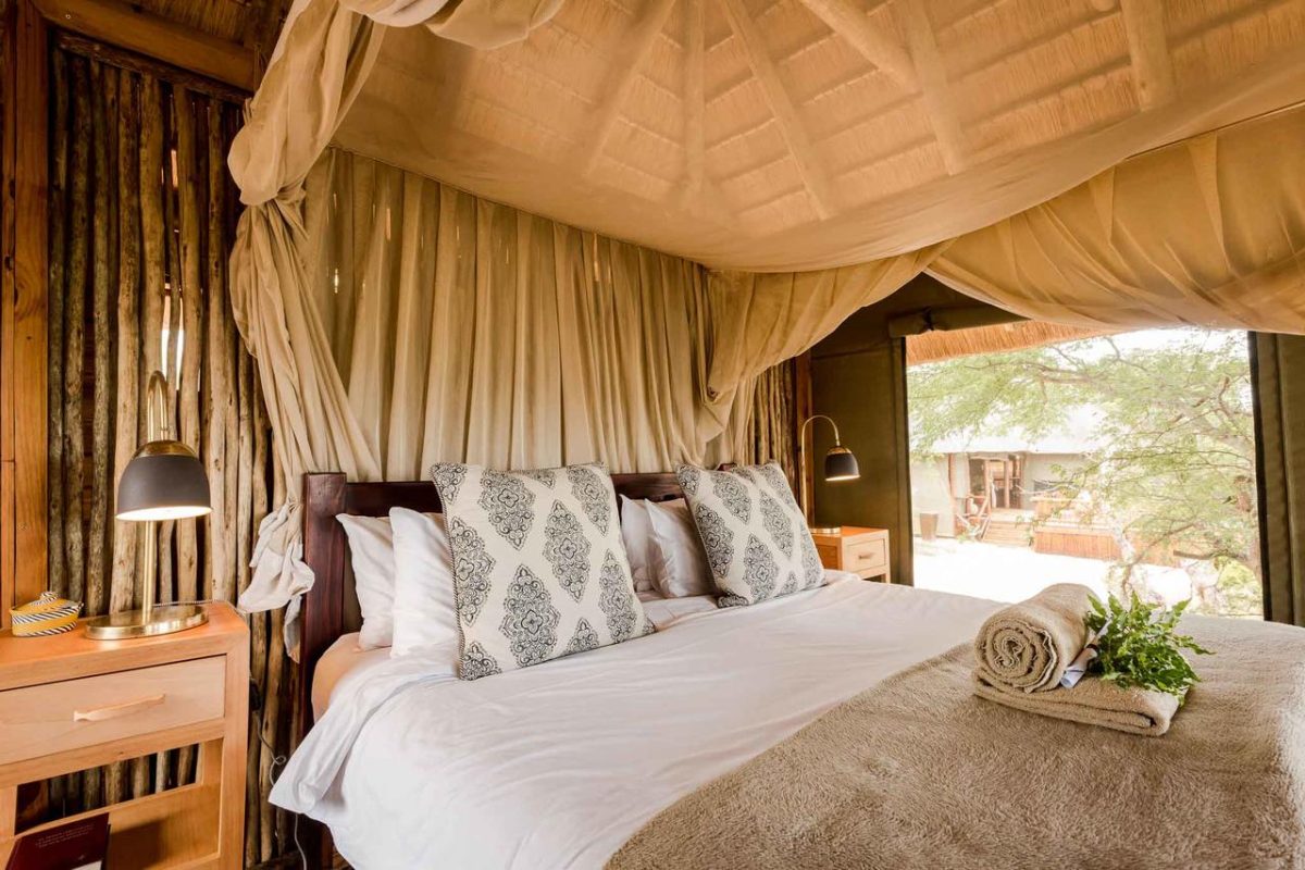 Cedarberg Travel | nThambo Tree Camp