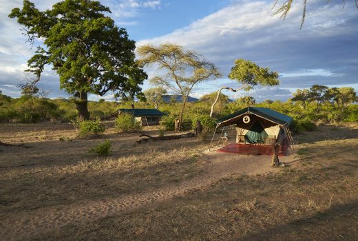 Safari Tents