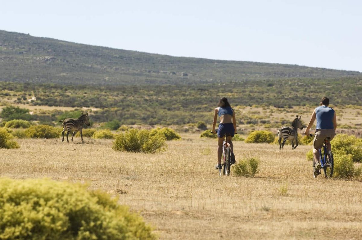 Cedarberg Travel | Bushmans Kloof Wilderness Reserve