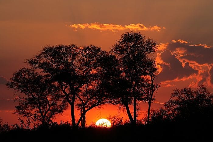 Botswana-Sunset-with-silhouetted-Africa-BS53270206