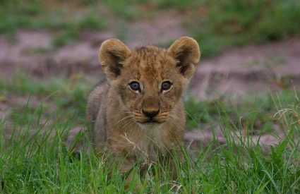 When is the best time to visit South Africa?