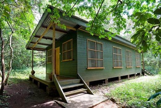 Budongo Forest Cabin