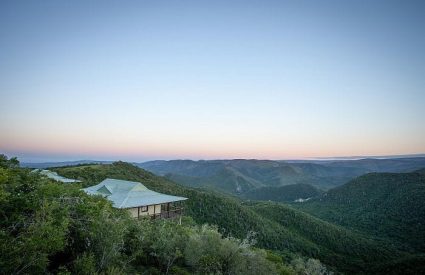 Camp Figtree