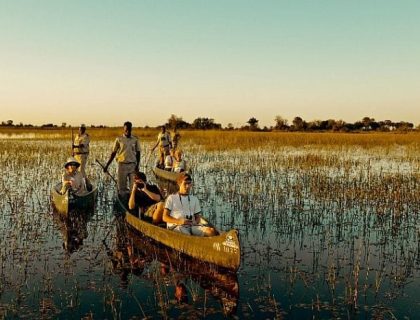 Botswana Water & Wildlife Safari