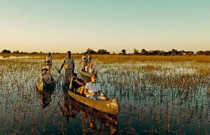 Botswana Water & Wildlife Safari