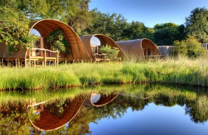 10 Top Tips to Save Money on your African Safari