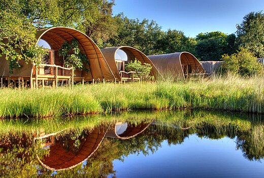 10 Top Tips to Save Money on your African Safari