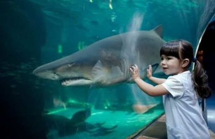 Top 20 Things to do with Kids in Cape Town