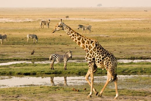 When is the best time to visit Botswana?
