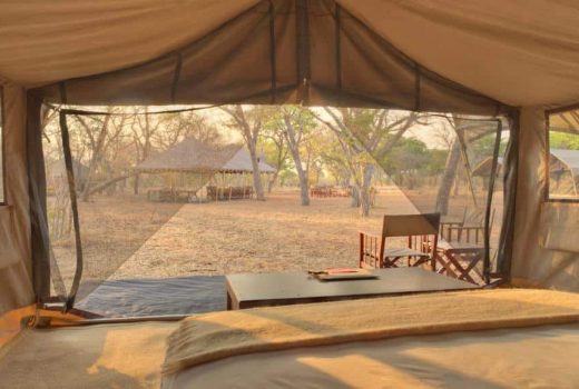 Safari Tent(s)