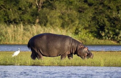 Cape Vidal – Bush & Beach in a day?