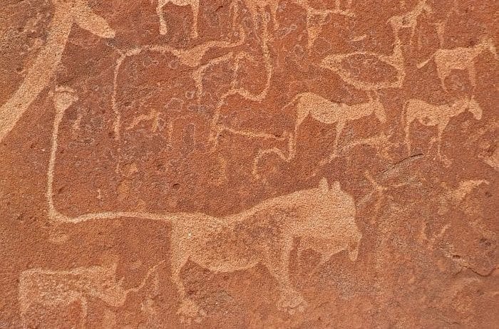 Cedarberg Travel | Best of Namibia Fly-in Safari