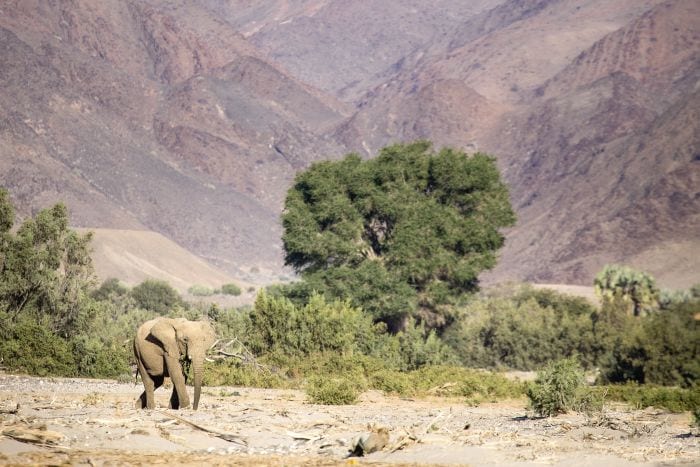 Cedarberg Travel | Ultimate Namibia Small Group Safari