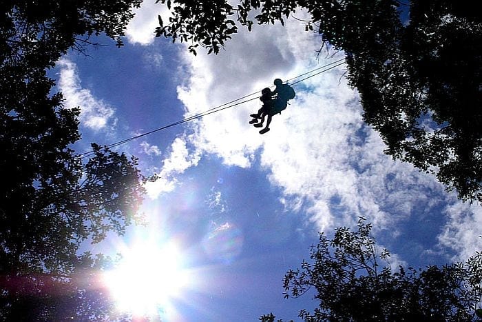 Drakensberg Canopy treetop tours