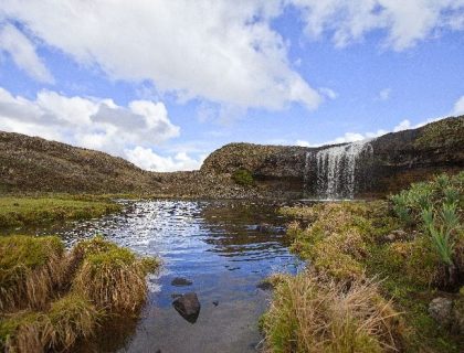 Bale Mountain Lodge Fly-In