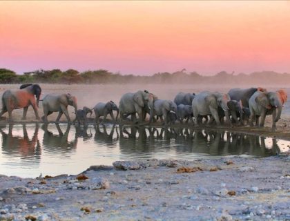 Ultimate Namibia Small Group Safari