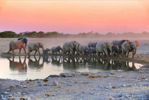 Ultimate Namibia Small Group Safari