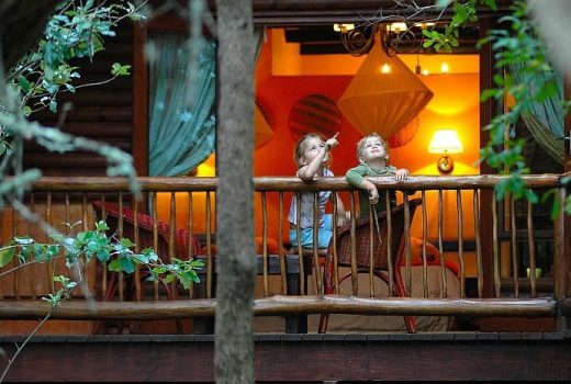 Relaxing Rascals Family Safari