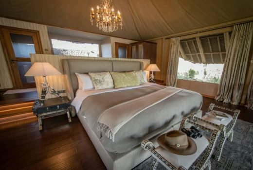 Luxury Tented Suites