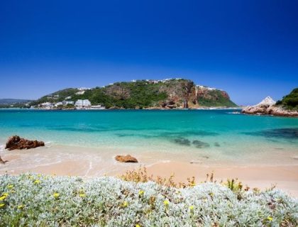 Mellow Cape Self-drive Safari