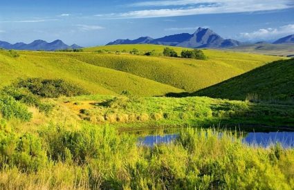 Gondwana Game Reserve
