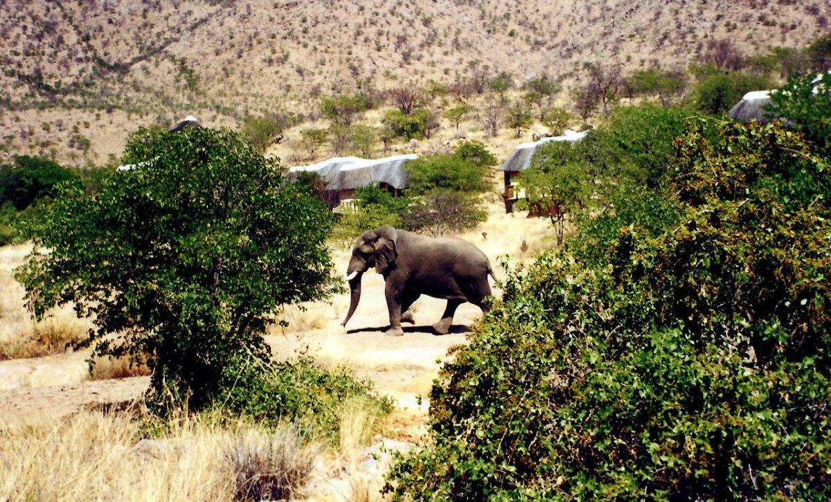 Cedarberg Travel | Namibia to Go