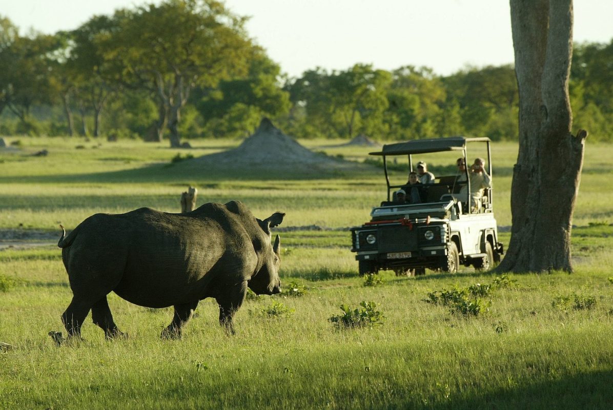 Cedarberg Travel | Hwange Explorer by Air