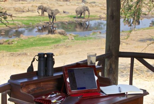 Ruaha River Lodge bandas