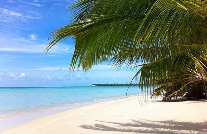 Madagascar Eastern Highlands to Ile Sainte Marie Tour