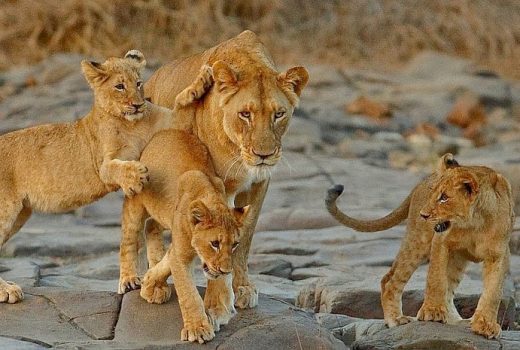 KwaZulu Natal Adventure Self-drive