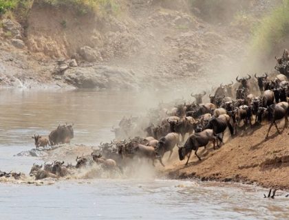 Kenya Safari Highlights by Air