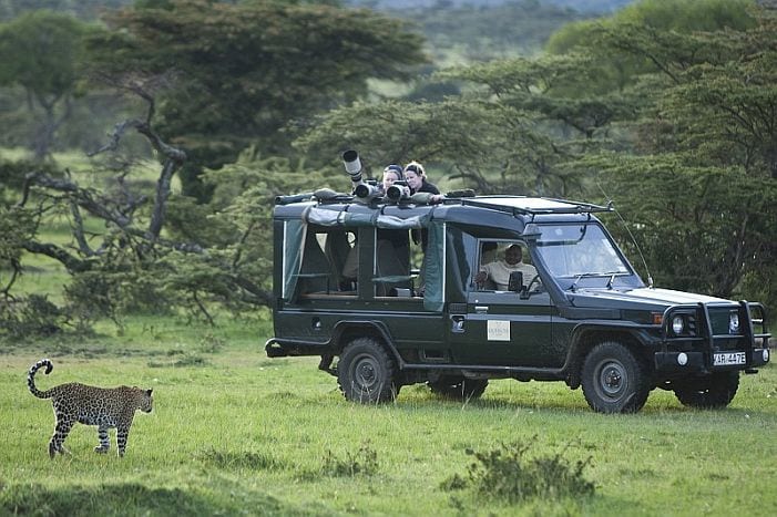 Kicheche Mara Camp game drive leopard