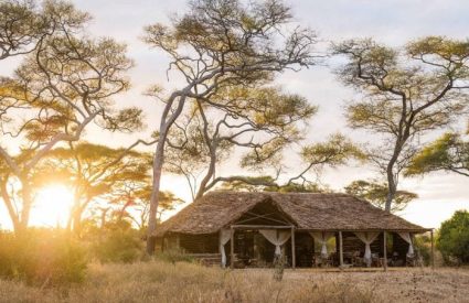 Tarangire Kuro Treetops Lodge (Nomad)