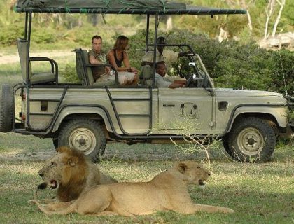 Southern Tanzania Safari & Coast