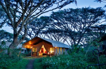 Lemala Ngorongoro Tented Camp