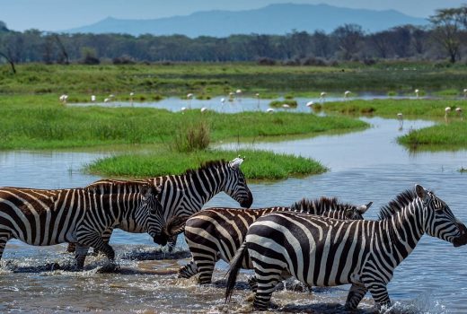 When is the best time to visit Zambia?