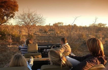 Kids on Safari: 8 Tips for a Bicker-Free Africa Family Safari
