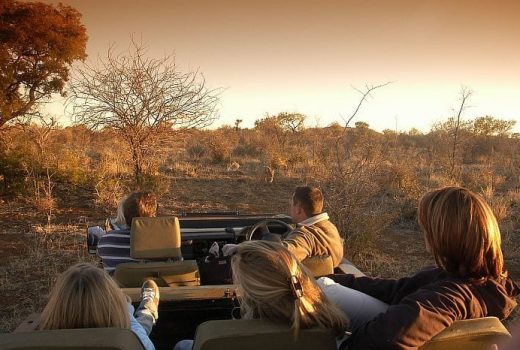 Cape & Kruger Family Explorer Safari