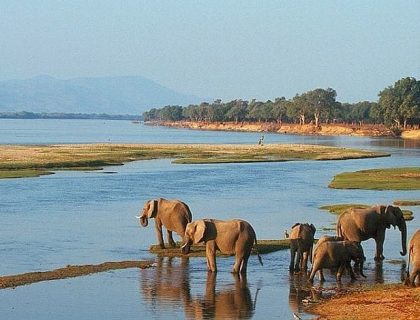 Zimbabwe Safari Explorer