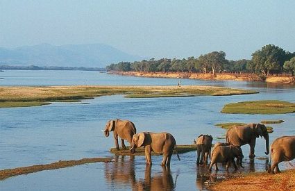 Zimbabwe Safari Explorer