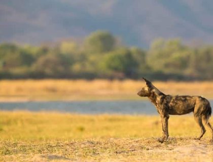 Zimbabwe Water & Wilderness